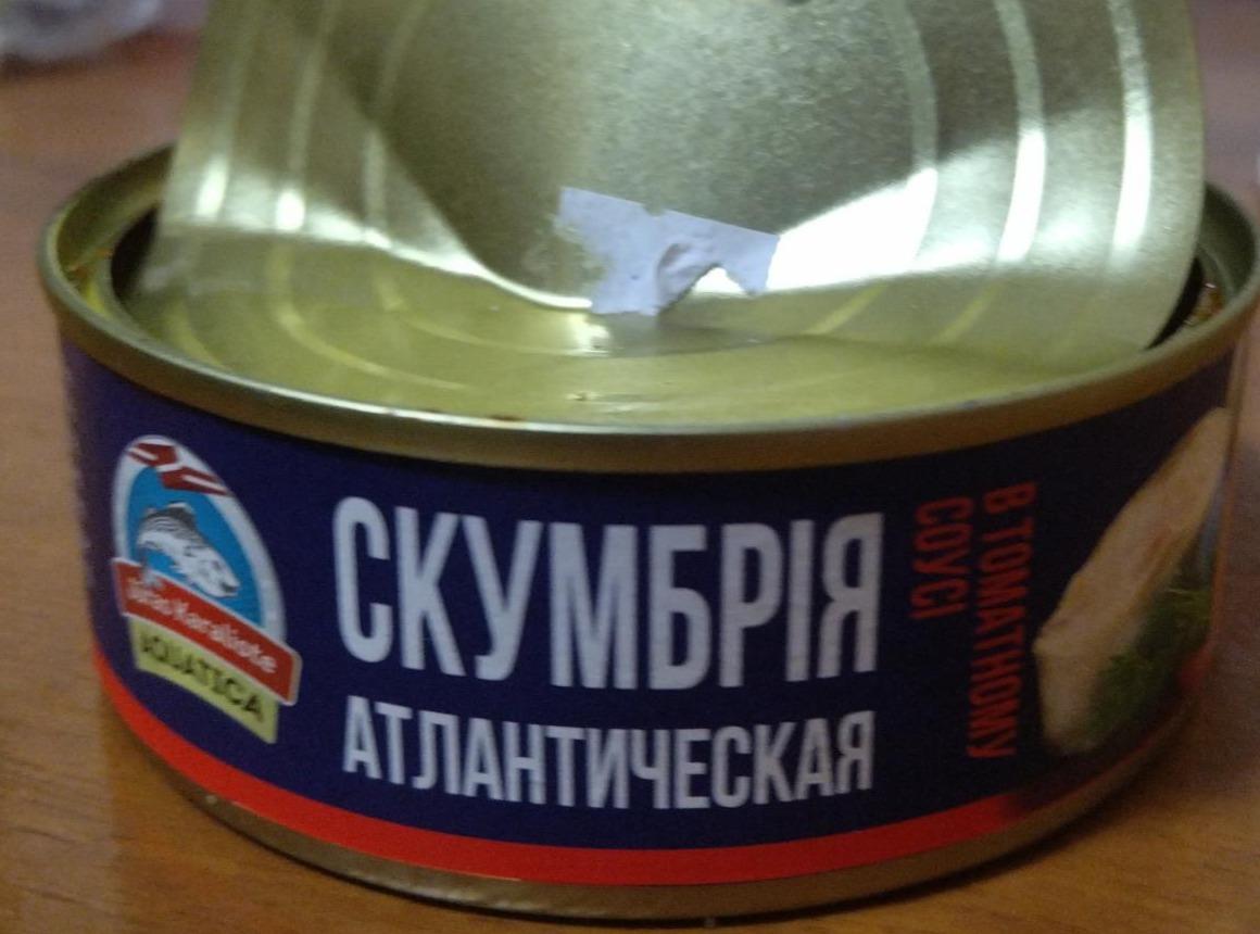 Фото - Скумбрия атлантическая в томатном соусе Рибпродукт-97