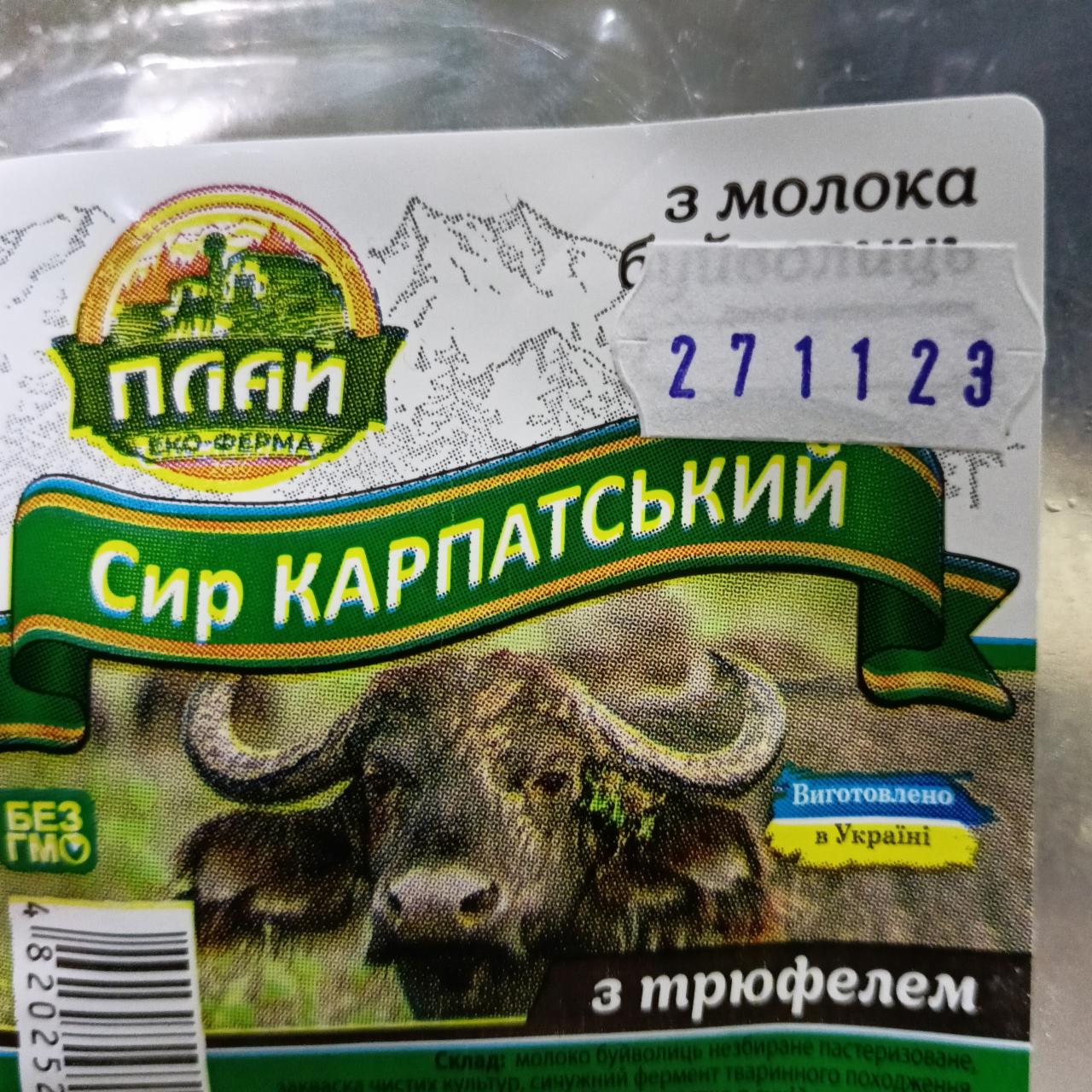 Фото - Cыр Карпатский с молока буйволиц Плай