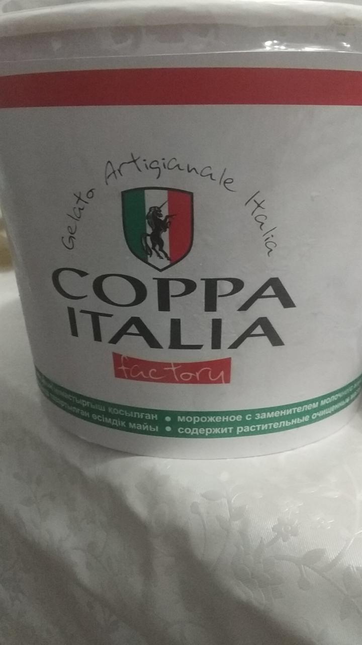 Фото - Мороженое Coppa Italia Молочный Завод Солнечный