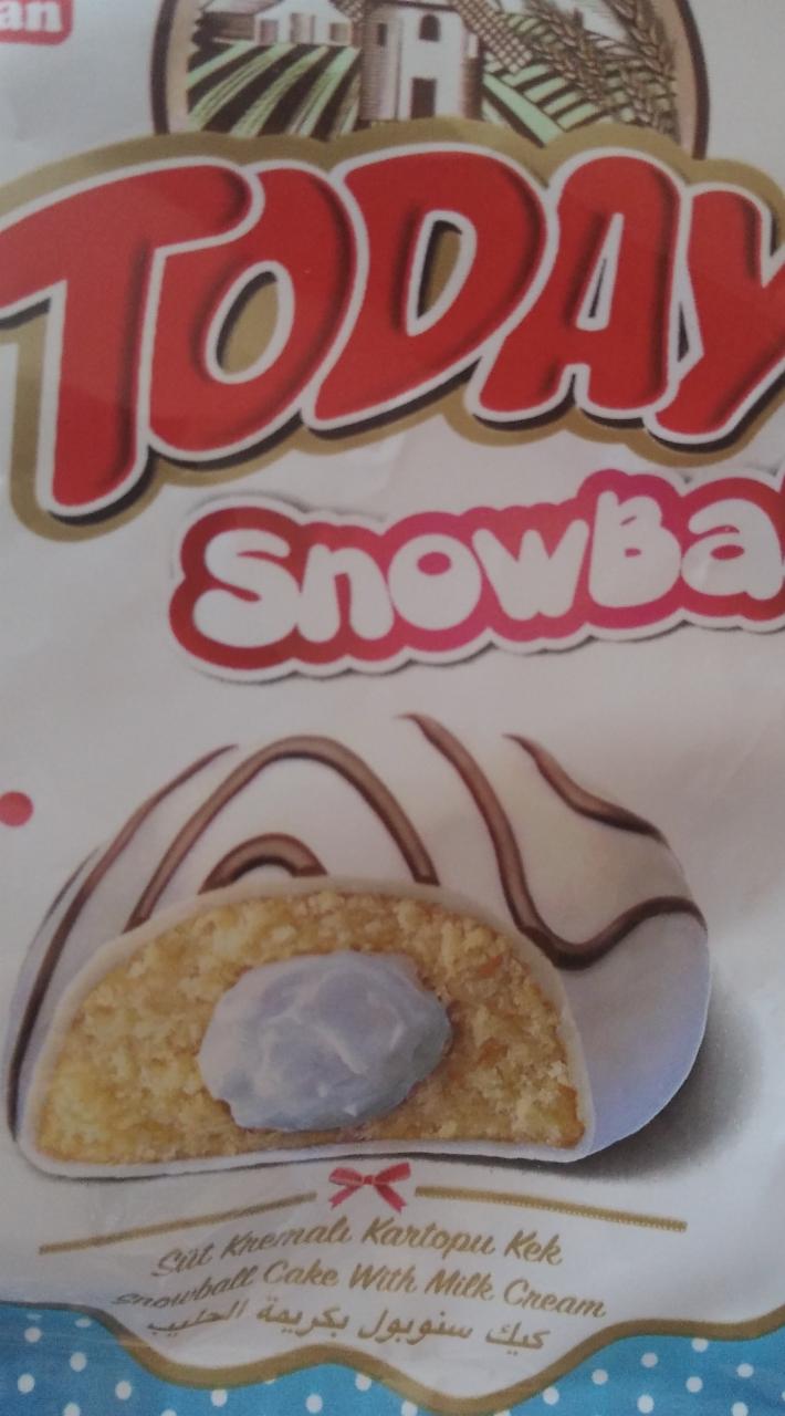 Фото - Пирожное бисквитное глазированное декорированное с молочной начинкой Today Snowball