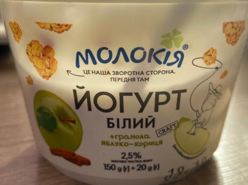 Фото - Йогурт 2.5% Яблоко-корица Белый без добавления гранолы Молокия