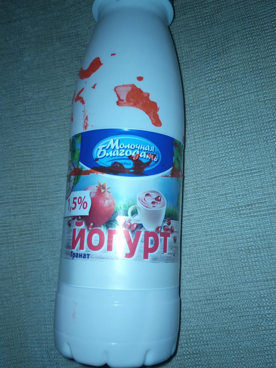 Фото - Йогурт гранат Молочная благодать