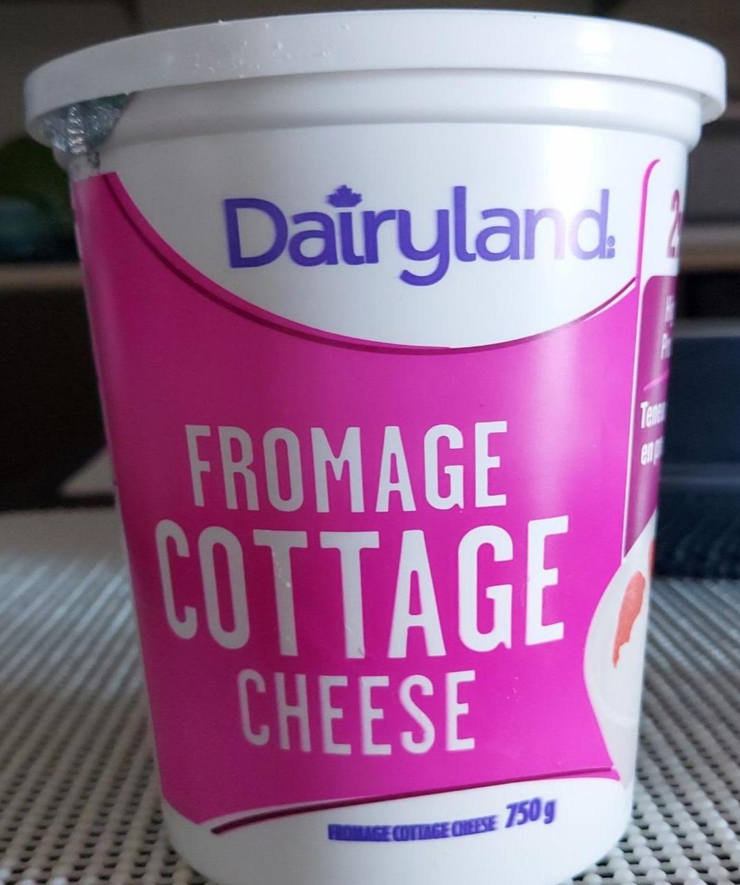 Фото - Творог зернистый Fromage Cottage Cheese Dairyland