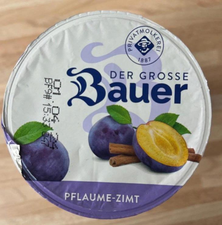 Фото - Joghurt mild mit Pflaume-Zimtzubereitung Bauer