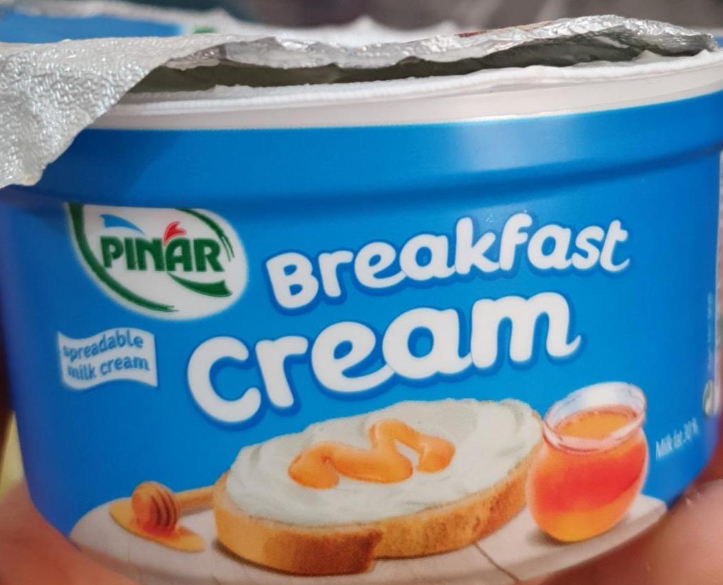 Фото - творожный сыр Breakfast cream Pinar