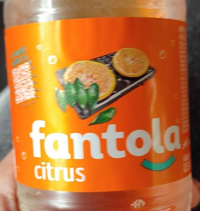 Фото - газированный напиток апельсиновый Fantola