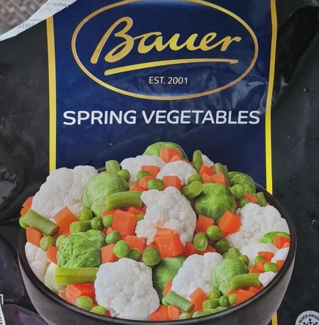 Фото - Овощи весенние Bauer