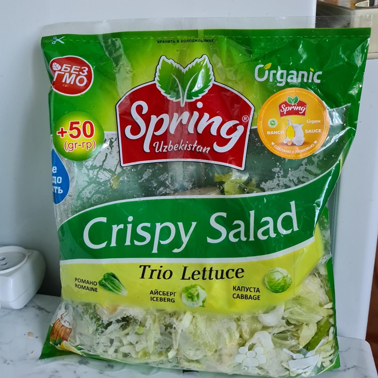 Фото - Crispy Salad Spring Uzbekistan