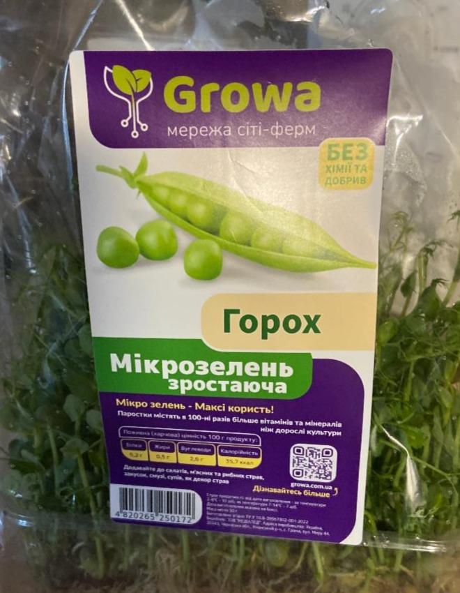 Фото - Горох микрозелень растущая Growa