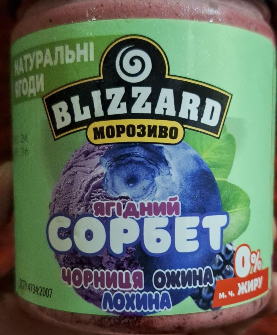 Фото - Мороженое ягодный Сорбет черника-ежевика Blizzard