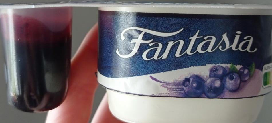 Фото - Yoghurt with Blueberries Fantasia Creamy Danone