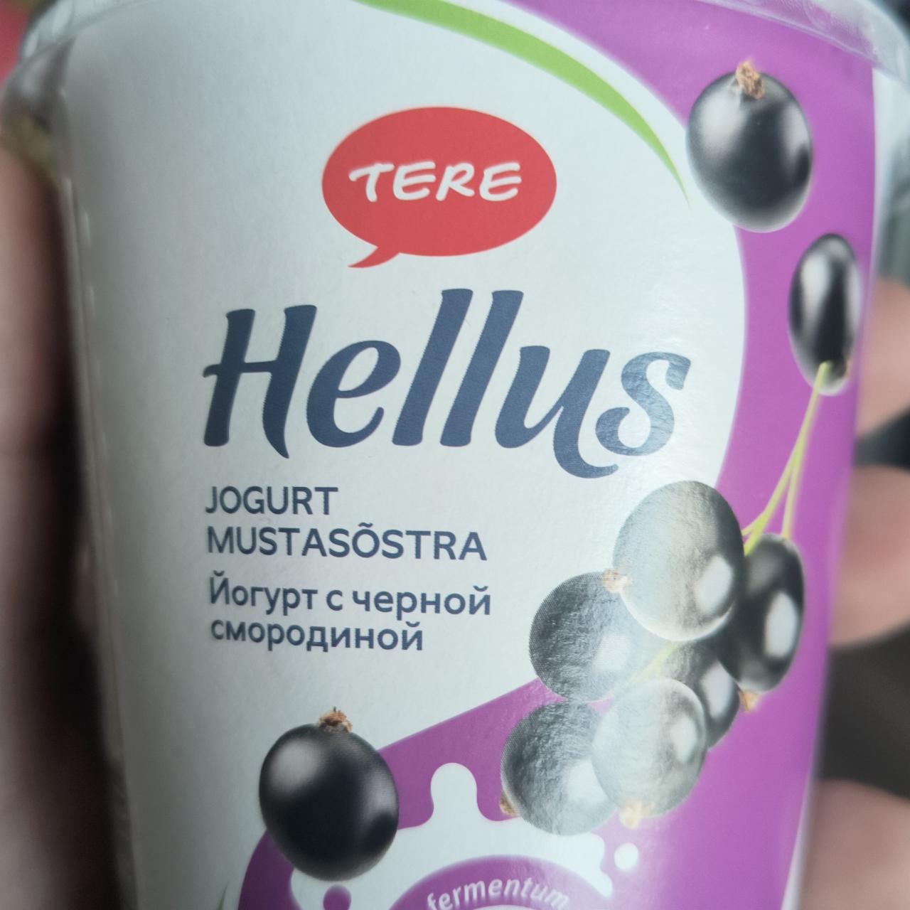 Фото - Йогурт с черной смородиной Hellus Tere