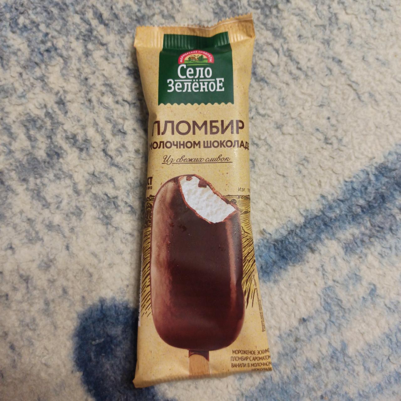 Фото - Мороженое Пломбир с ароматом ванили в молочном шоколаде Село зеленое