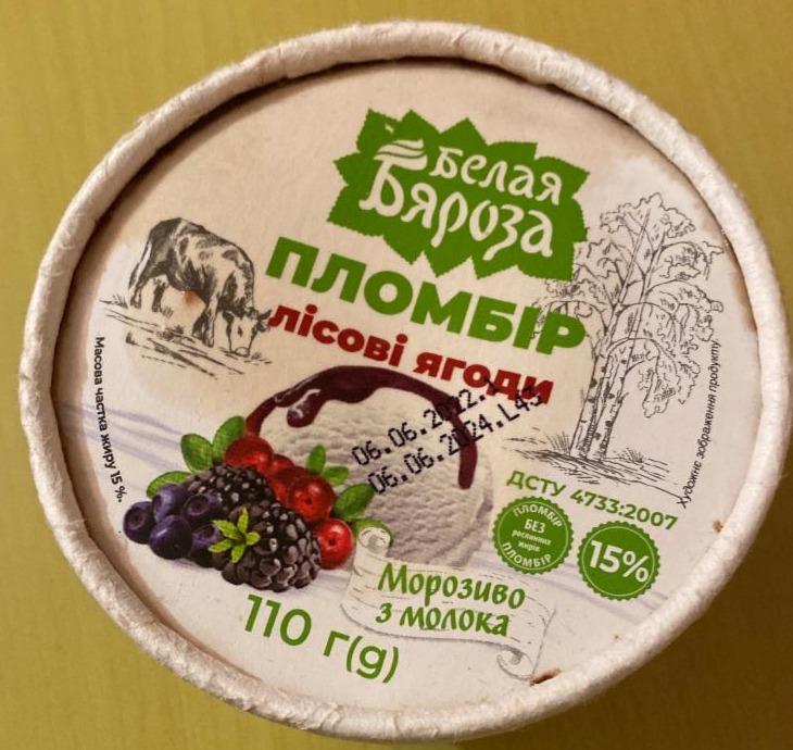 Фото - Мороженое 15% из молока Лесные ягоды Белая Бяроза