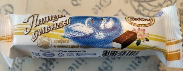 Фото - Конфеты в шоколадной глазури Птица Дивная Акконд