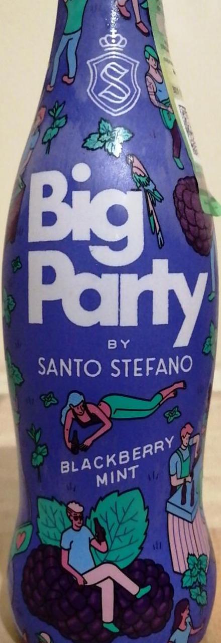 Фото - Напиток слабоалкогольный газированный ежевика и мята Big Party Santo Stefano