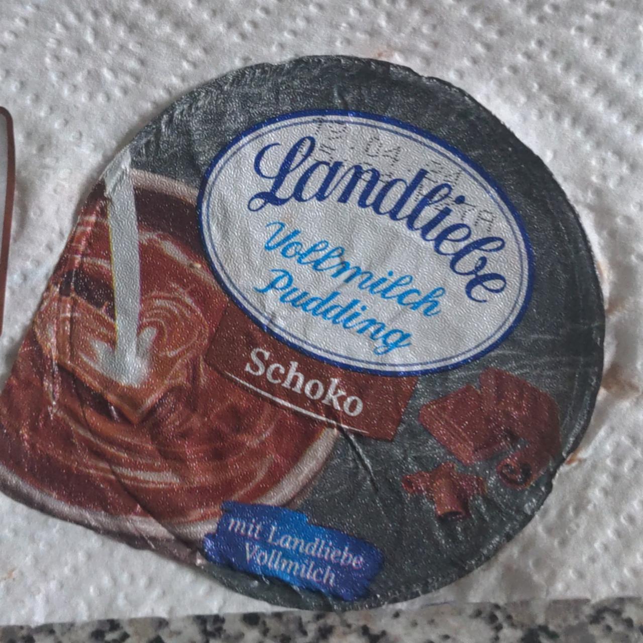 Фото - шоколадный пуддинг из цельного молока Landliebe