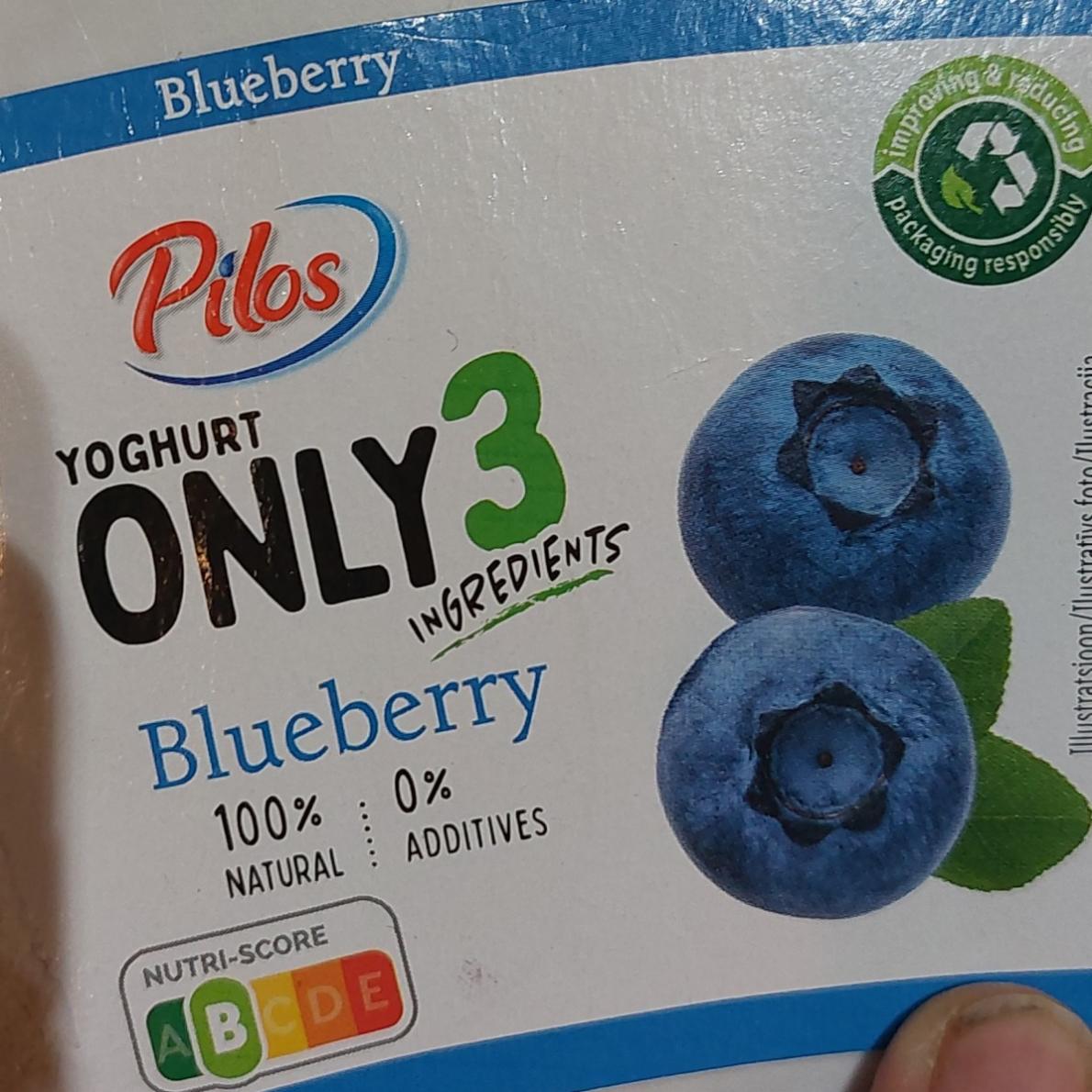 Фото - Yoghurt only3 ingredients Blueberry Pilos