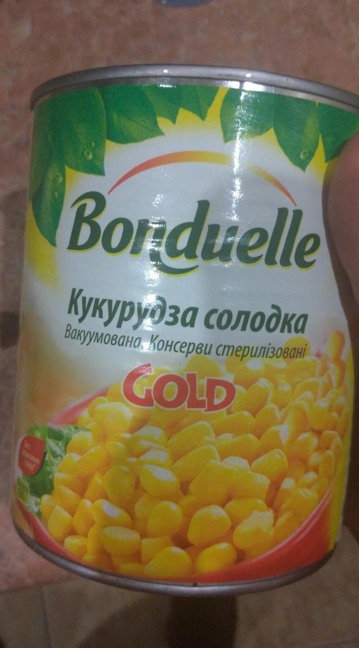 Фото - Кукуруза сладкая консервированная Gold Bonduelle