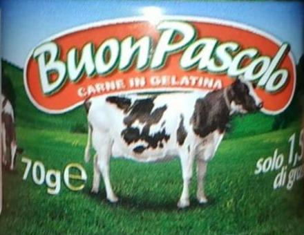 Фото - Мясная консерва Carne in Gelatina из говядины Buon Pascolo