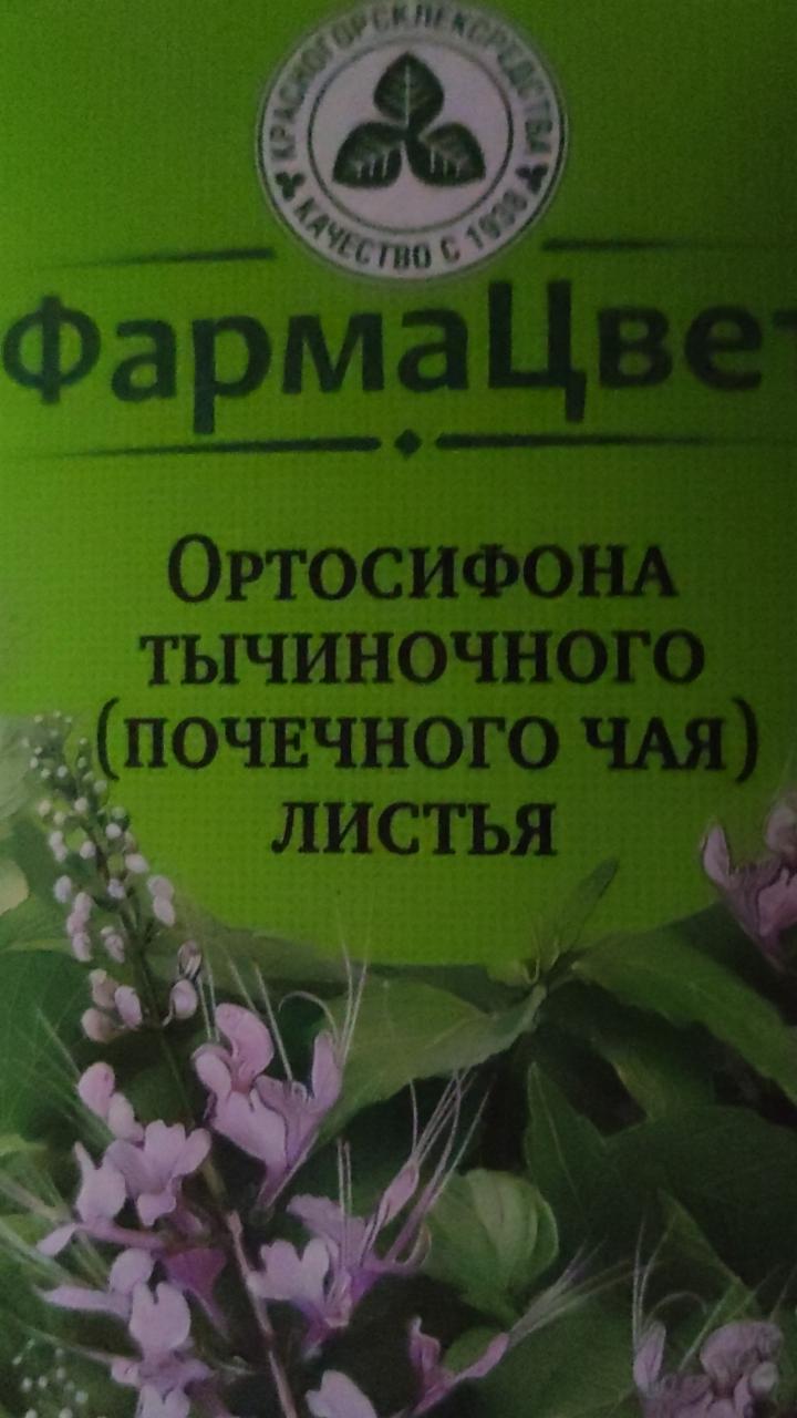 Фото - Почечный чай ортосифона тычиночного ФармаЦвет