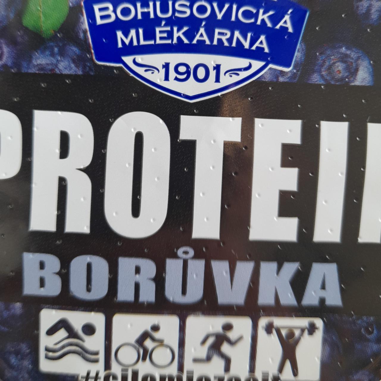 Фото - Protein tvaroh borůvka Bohušovická mlékárna