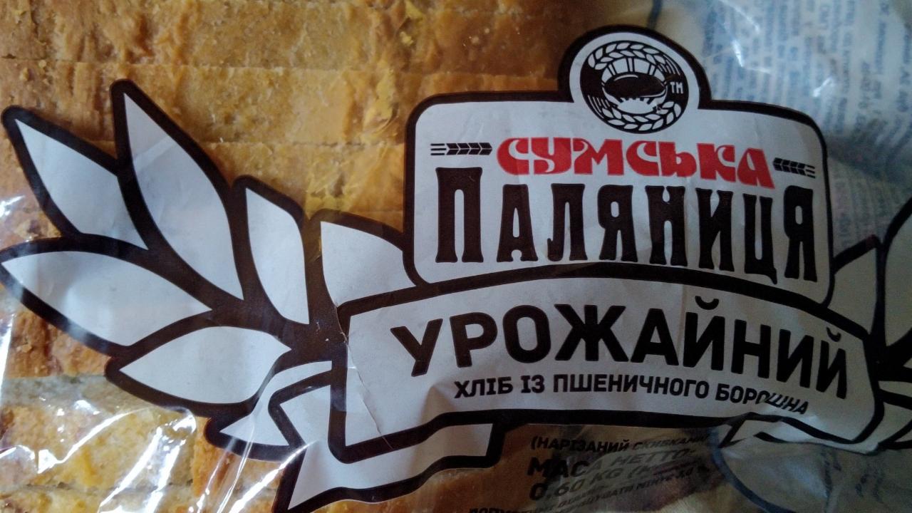 Фото - Хлеб из пшеничной муки Урожайный Сумська Паляниця