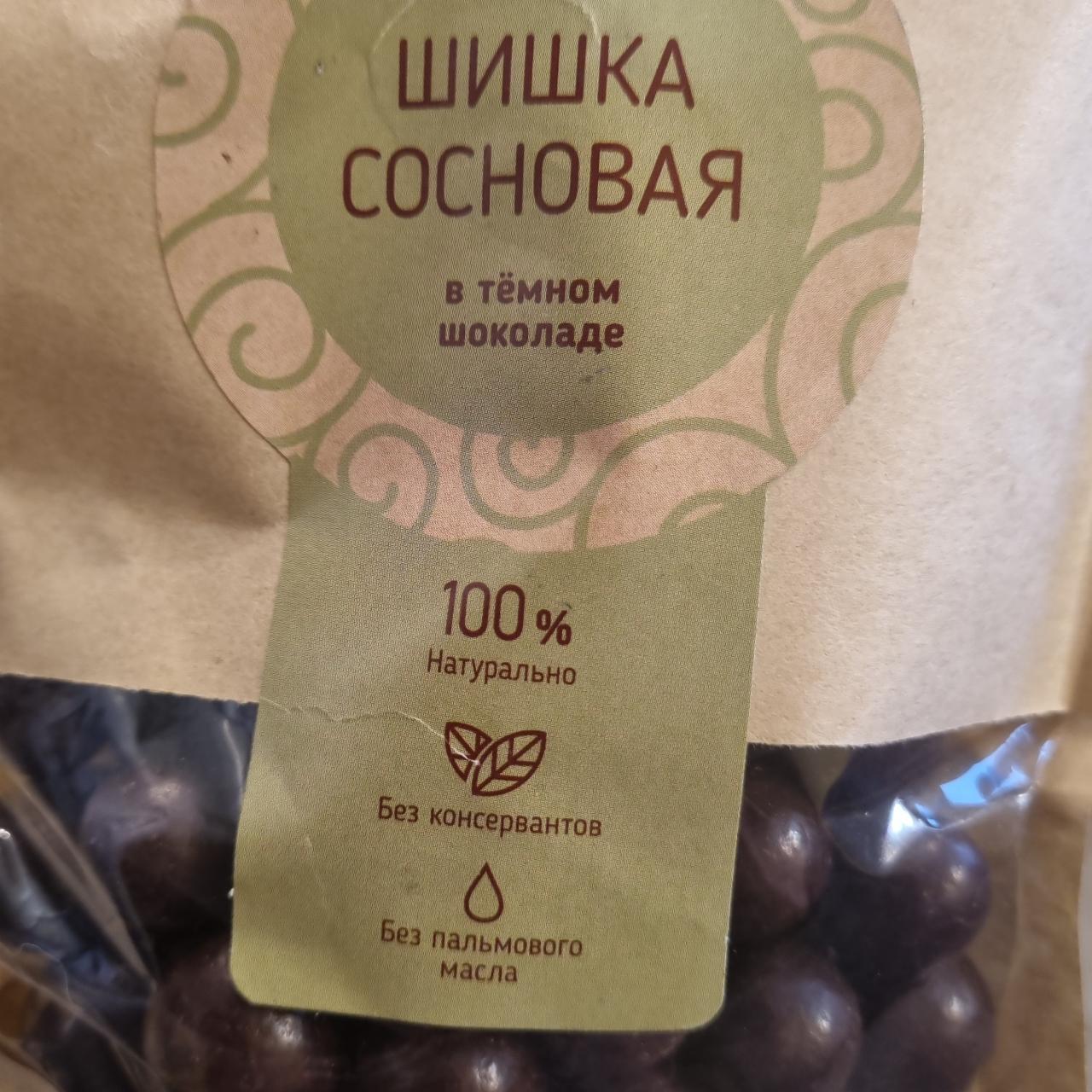 Фото - Шишка сосновая в темном шоколаде Сибирский кедр