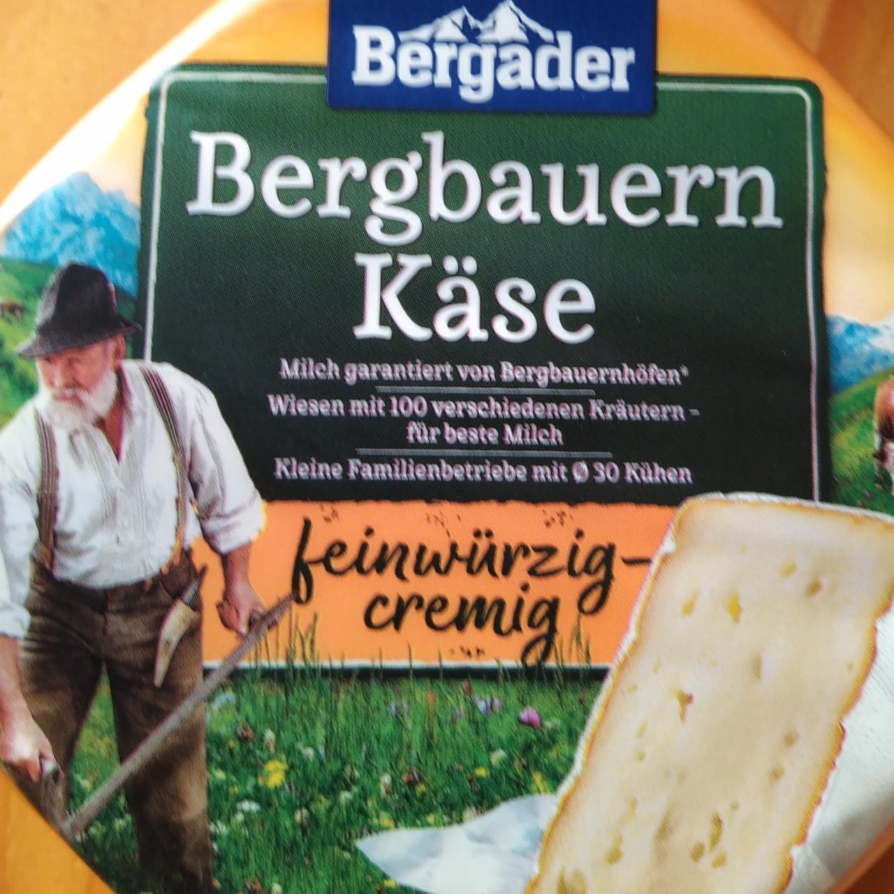 Фото - Bergbauern Käse feinwürzig-cremig Bergader