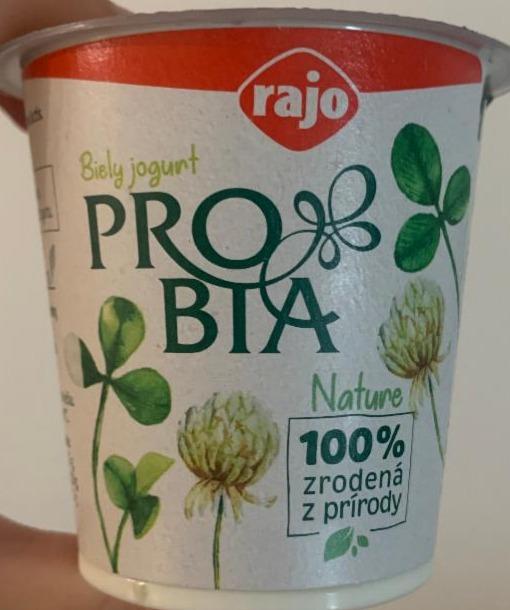 Фото - Probia biely jogurt 3.3% Rajo