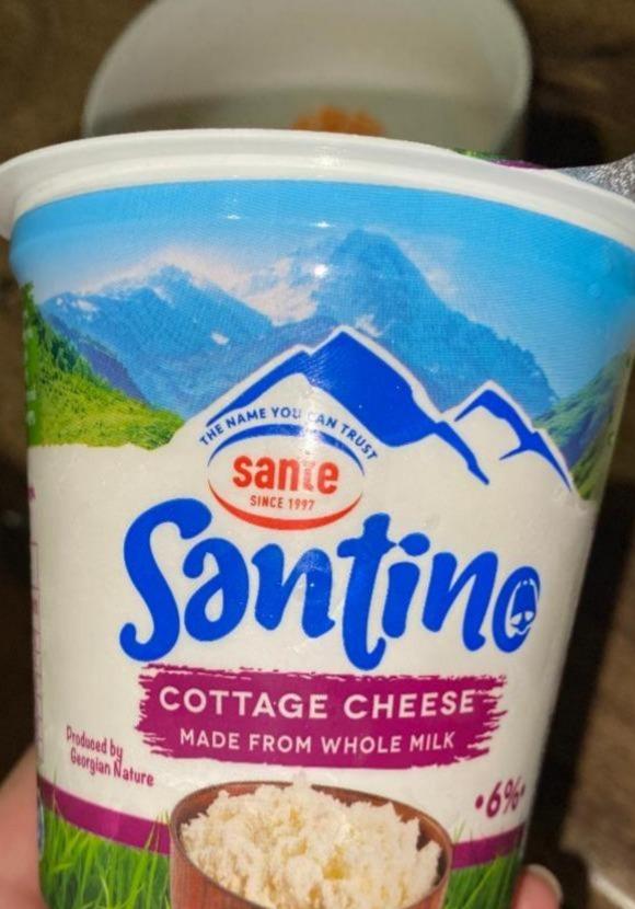 Фото - Творог 6% Cottage Cheese Santino Sante