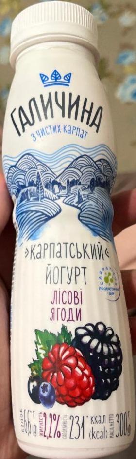 Фото - Йогурт 2.2% Лесные ягоды Карпатский Галичина