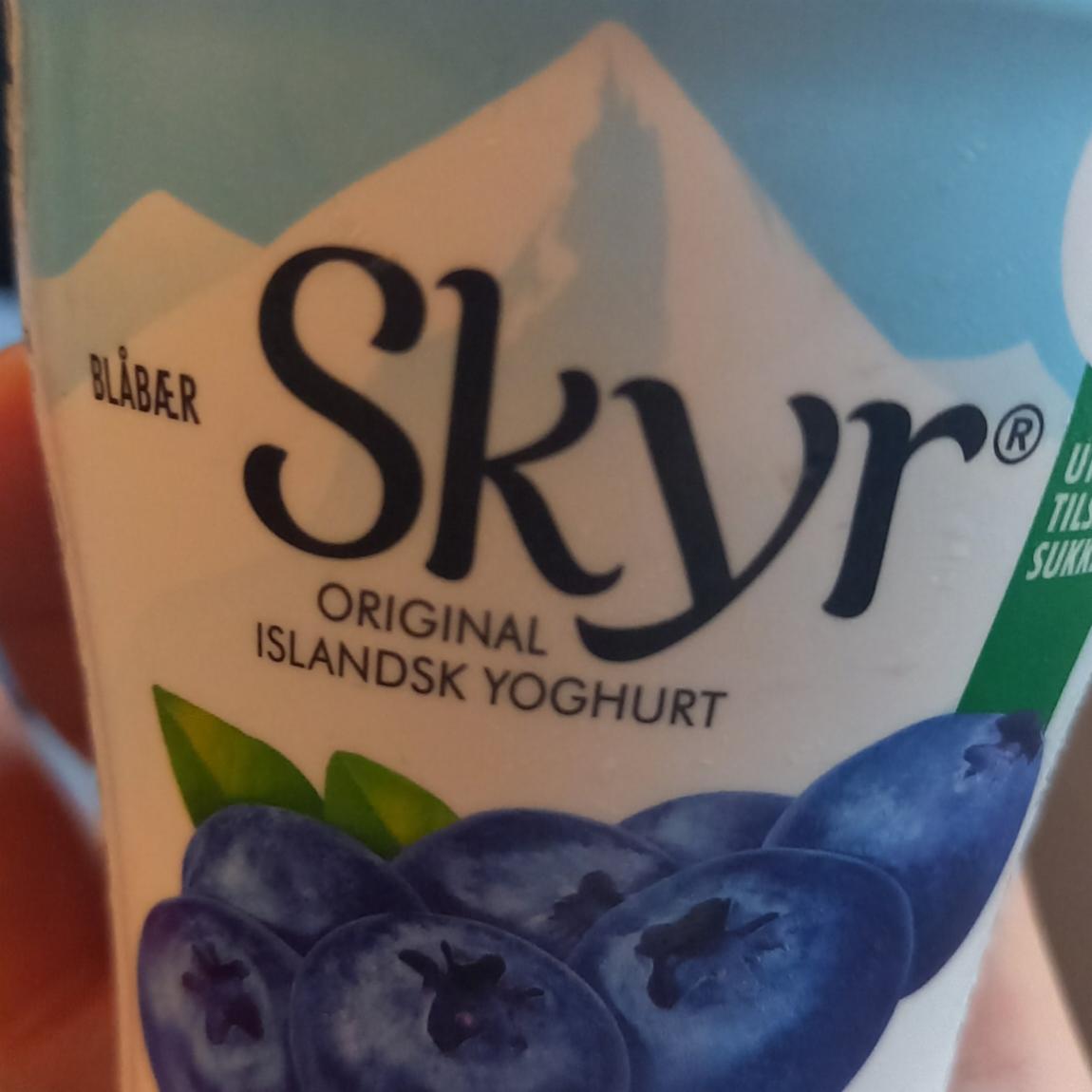 Фото - оригинальный исландский йогурт с черникой Blabaer SKYR