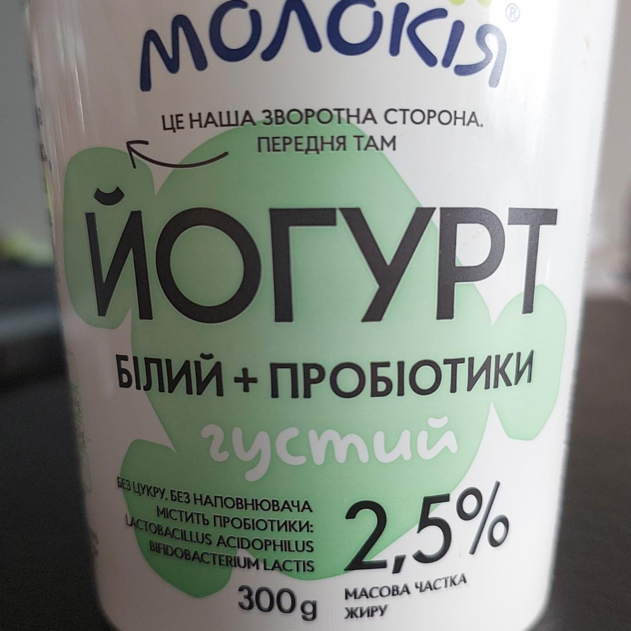 Фото - Йогурт 2.5% белый густой с пробиотиками Молокия