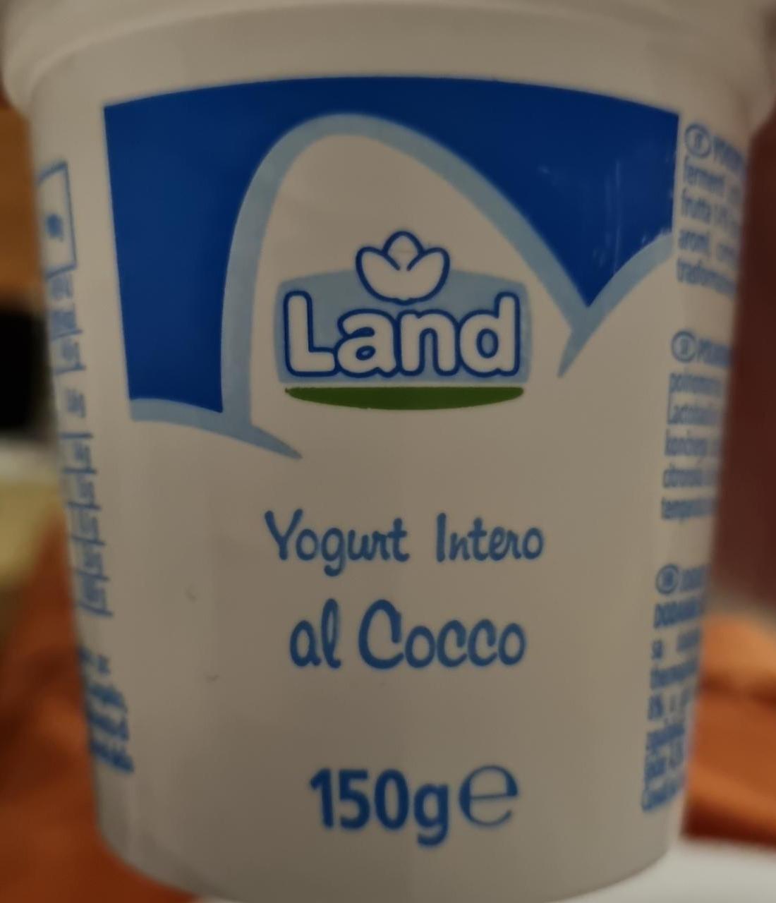 Фото - Yogurt Intero al coco Land