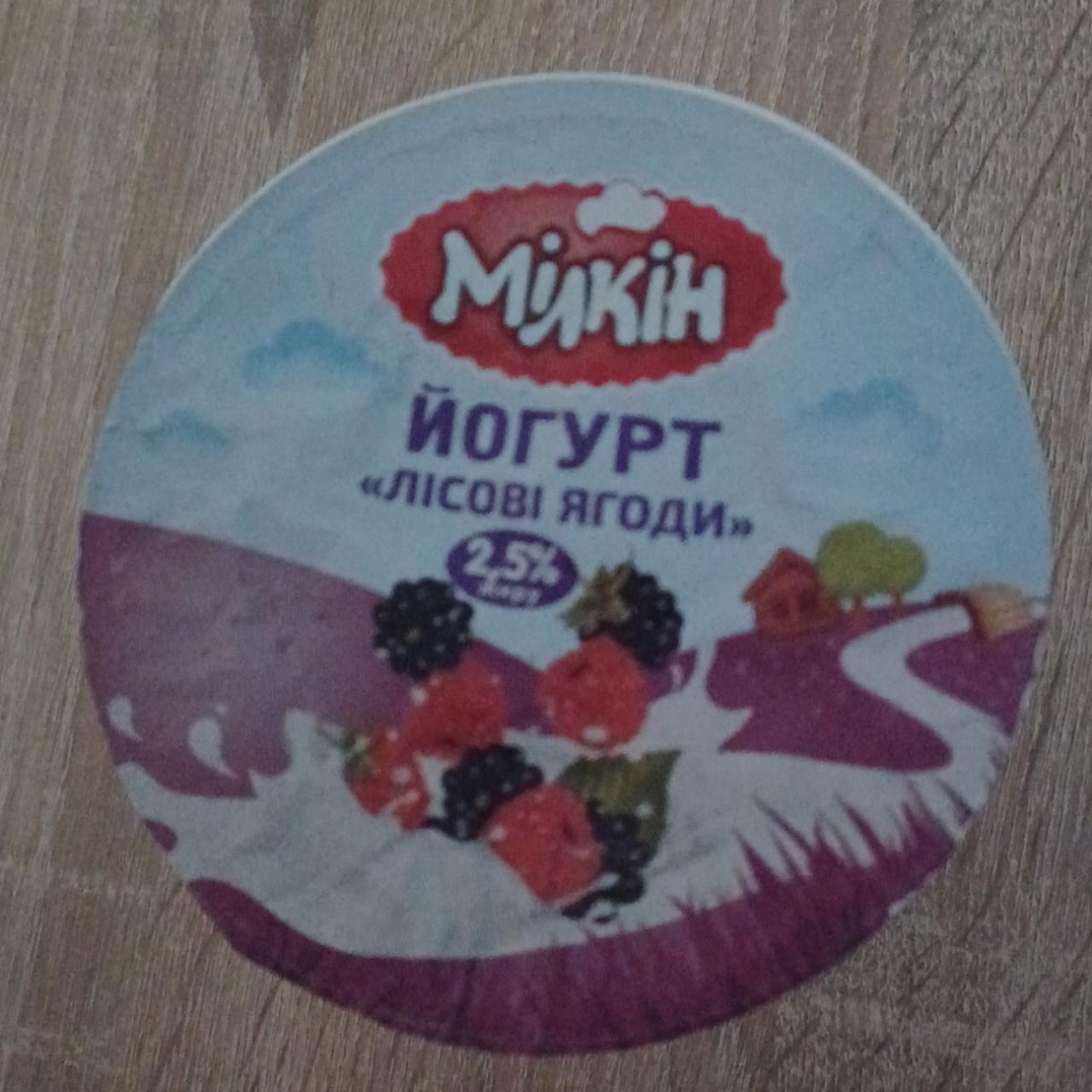 Фото - Йогурт лесные ягоды 2.5% Мілкін