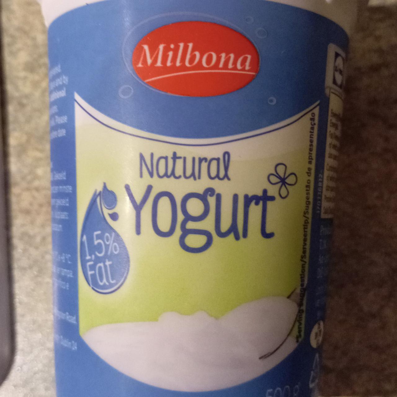 Фото - Йогурт натуральный белый 1,5% Pilos