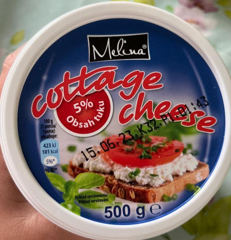 Фото - Творог 4% Cottage Cheese Melina
