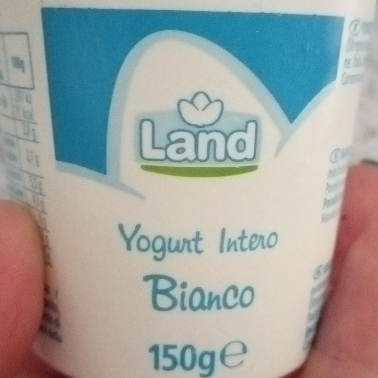 Фото - Йогурт белый Intero Bianco Land