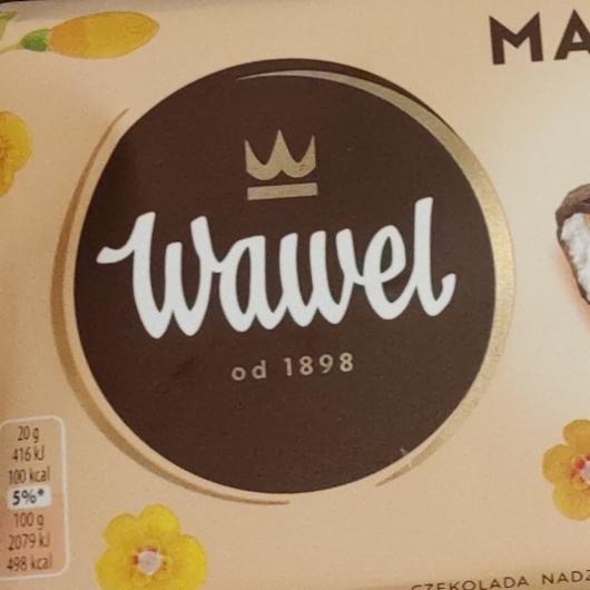 Фото - Шоколад из манго и мяты Wawel