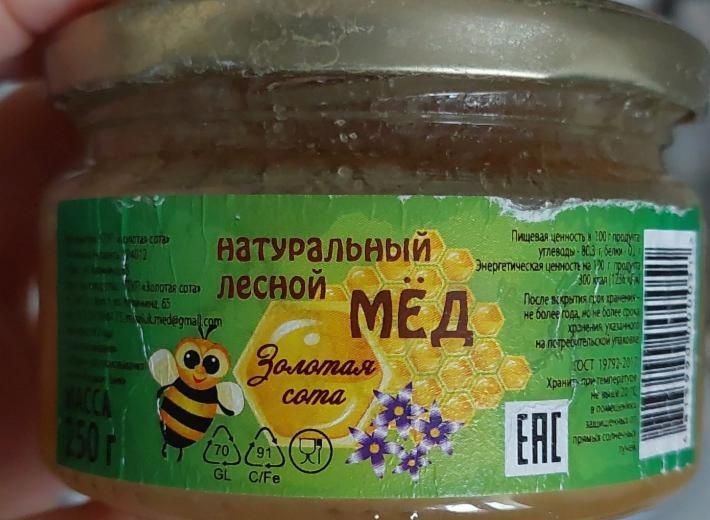 Фото - натуральный лесной мёд Золотая сота