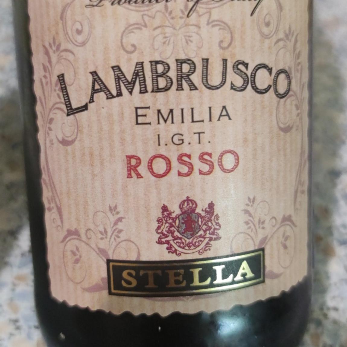 Фото - Игристое вино красное полусладкое Ламбруско Lambrusco Rosso Fratelli Martini