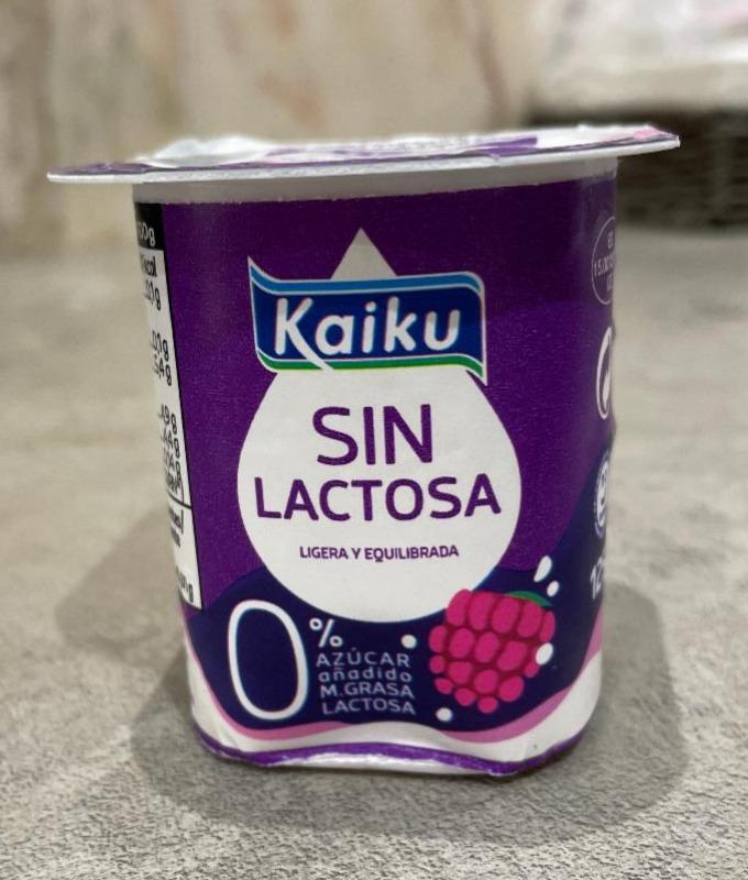 Фото - Йогурт безлактозный Sin Lactosa Kaiku