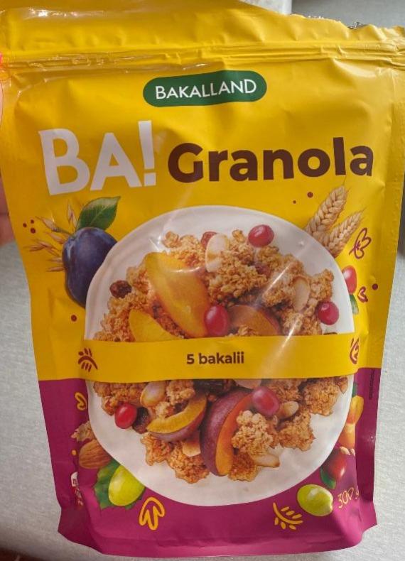 Фото - 5 Nuts and Dried Fruit Granola Ba! Bakalland