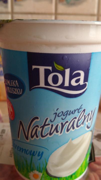 Фото - йогурт натуральный Tola