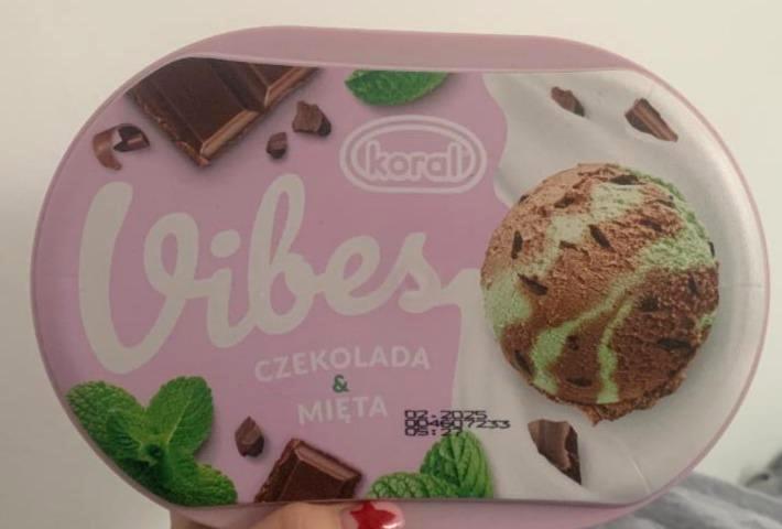 Фото - Мороженое со вкусом шоколада и мяты Vibes Koral