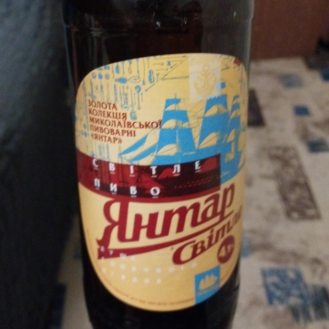 Фото - пиво светлое пастерезированное Янтарь