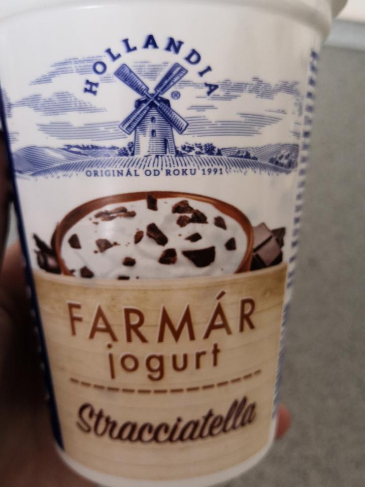 Фото - фермерский йогурт с шоколадной крошкой Stracciatella Hollandia