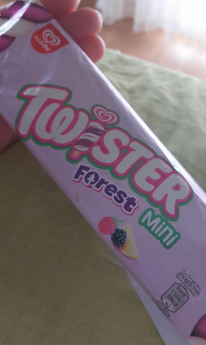 Фото - Мороженое Twister Forest Mini Algida