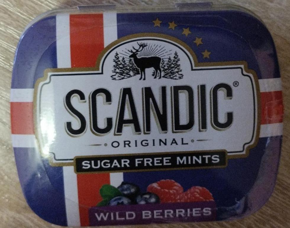 Фото - Драже без сахара со вкусом лесные ягоды Wild Berries Scandic